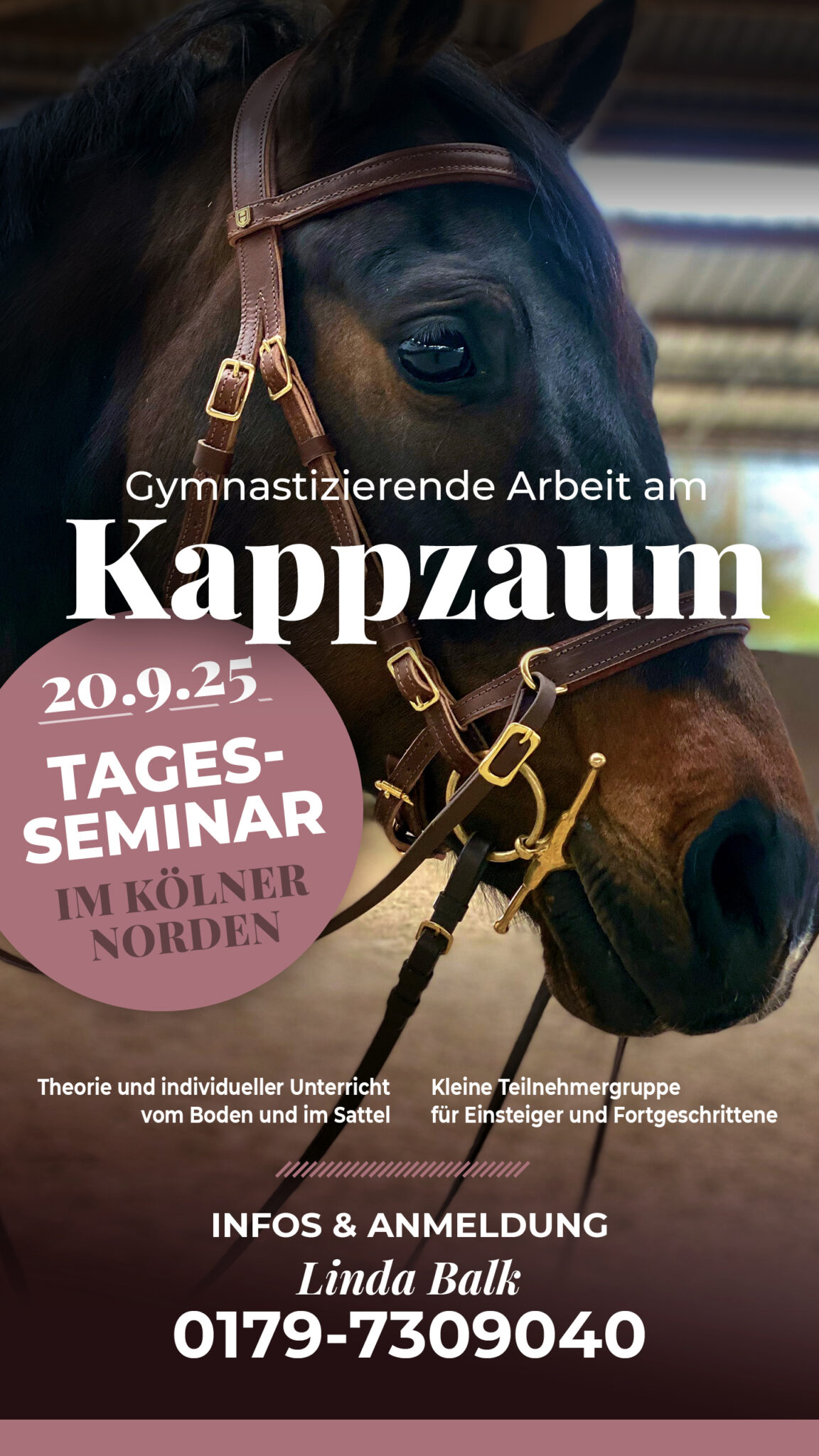 Bild zum Tagesseminar "Arbeit mit dem Kappzaum"