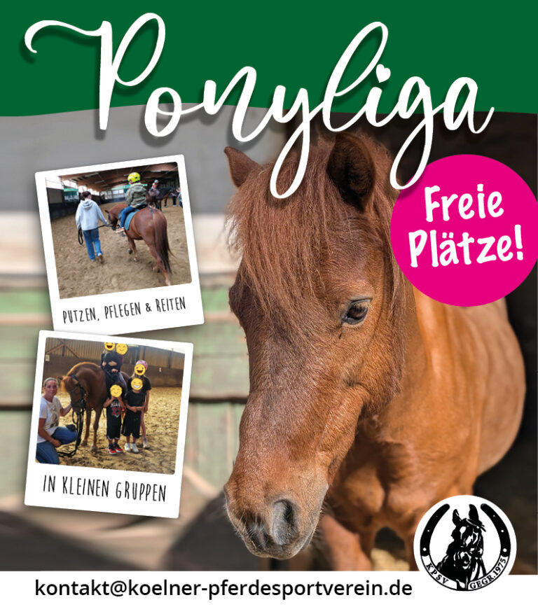 Mehr über den Artikel erfahren 🐴 Freie Plätze in der Pony-Liga! 🐴