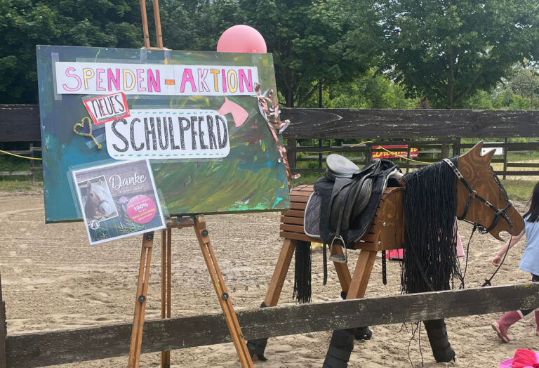 Mehr über den Artikel erfahren Schulpferde-Spendenaufruf trägt Früchte