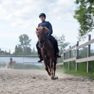 Reitunterricht_2
